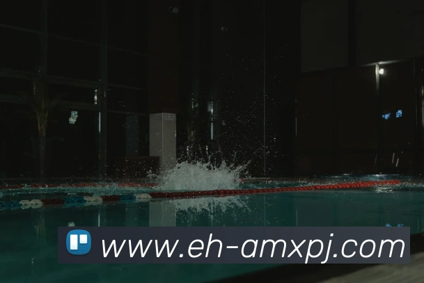 新葡京娱乐平台生态图